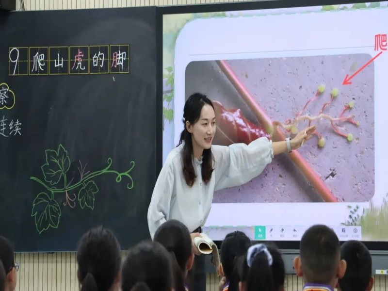 图片 5.jpg